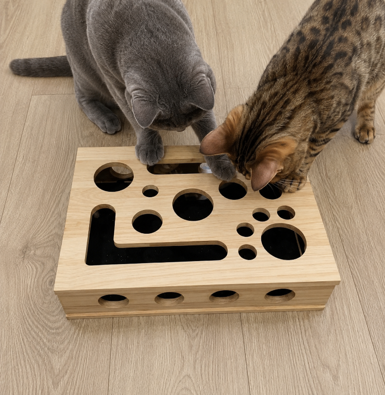 Kittail ClawCare Box